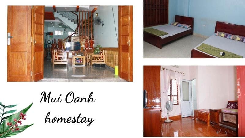 8-homestay-bai-dong-thanh-hoa-danh-cho-cap-doi-04.jpg