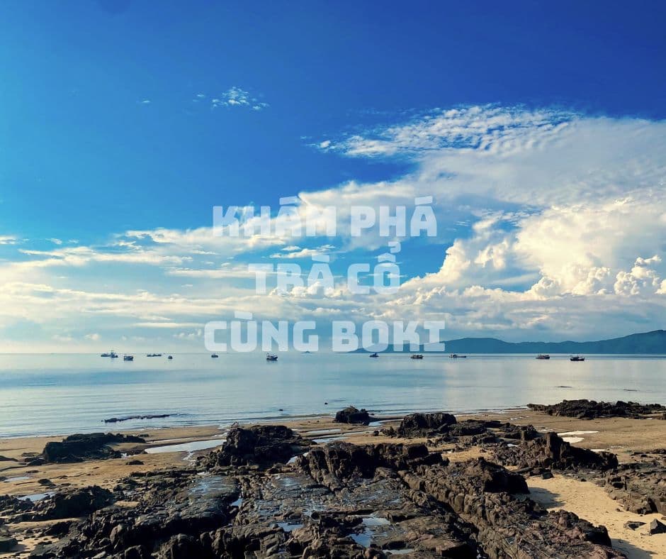 Trà Cổ