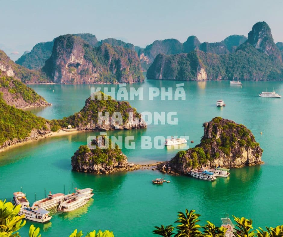 Hạ Long