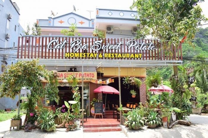 homestay-cat-ba4.jpg