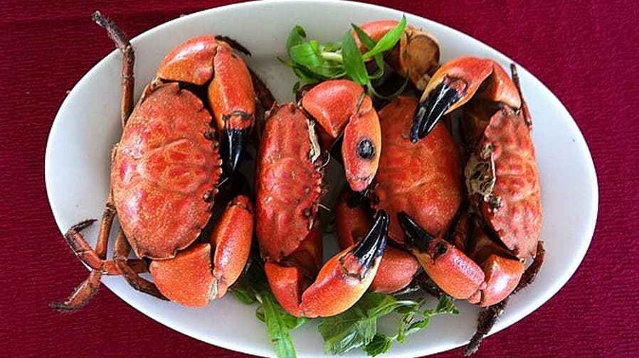 kham-pha-nhung-mon-ngon-van-don-02.jpg