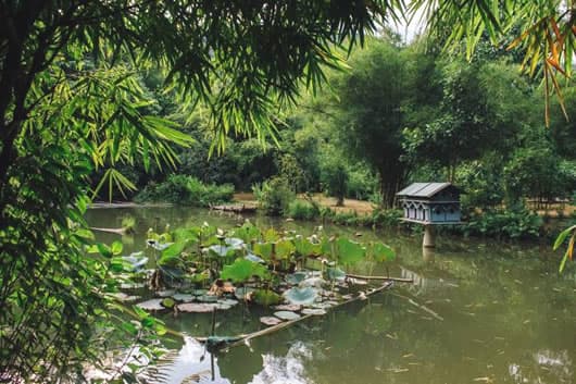 luu-tru-tai-nhung-homestay-son-tra-noi-bat-03.jpg