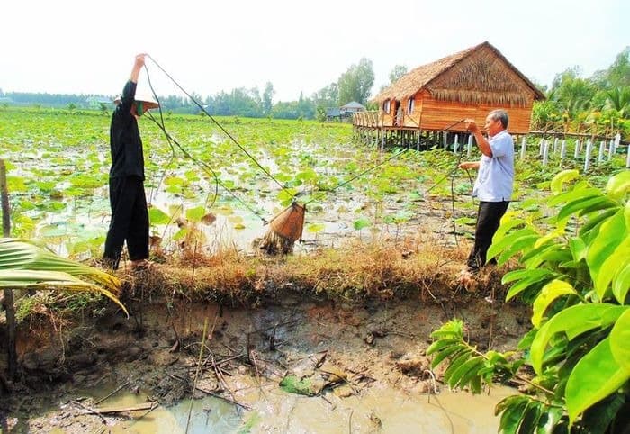 top-10-homestay-dong-thap-danh-cho-cap-doi-01.jpg