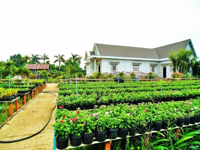 top-10-homestay-dong-thap-danh-cho-cap-doi-06.jpg
