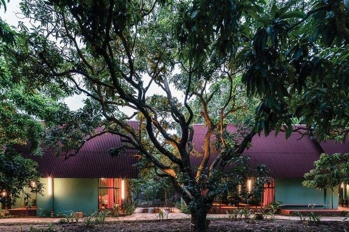top-10-homestay-dong-thap-danh-cho-cap-doi-10.jpg