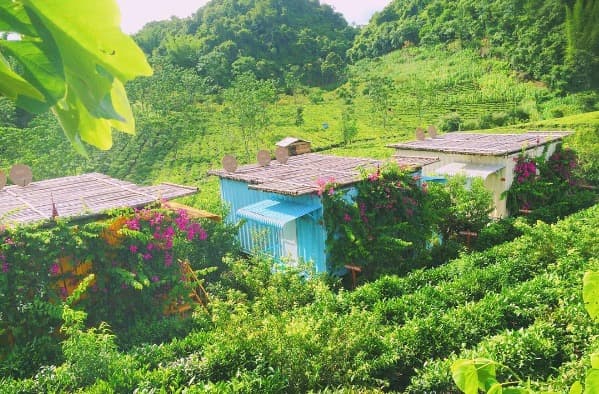 top-10-homestay-son-la-danh-cho-cap-doi-023.jpg
