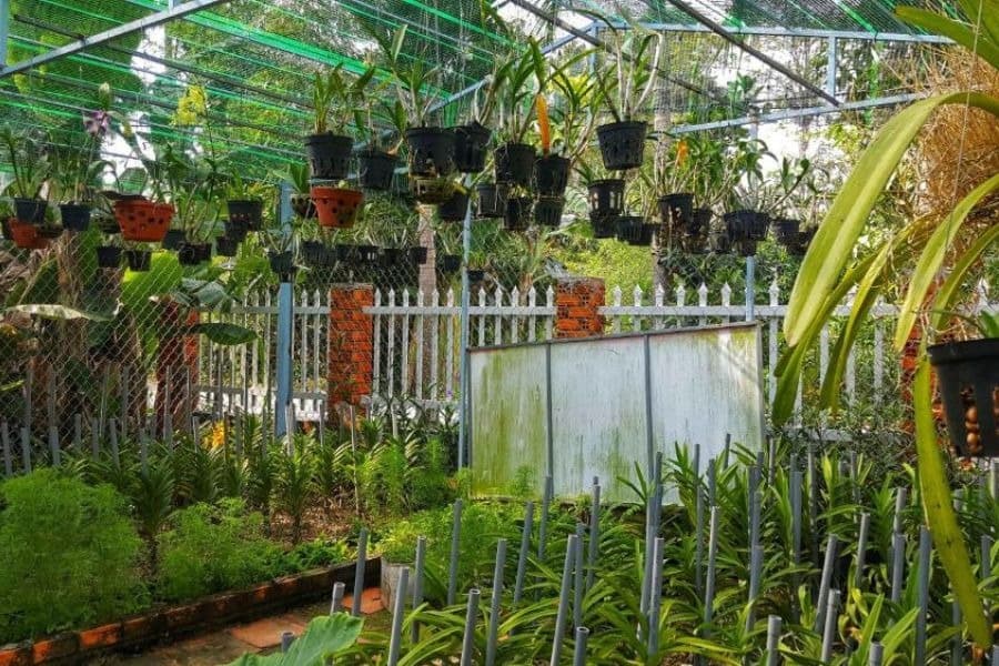 top-8-homestay-an-giang-danh-cho-cap-doi-02.jpg