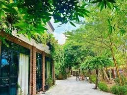 top-8-homestay-cua-lo-danh-cho-cap-doi-11.jpg