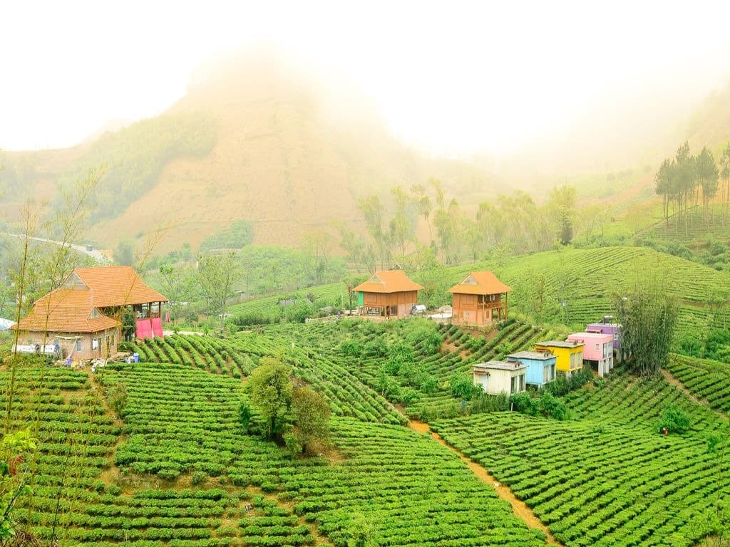 top-8-homestay-moc-chau-danh-cho-cap-doi-06.jpg