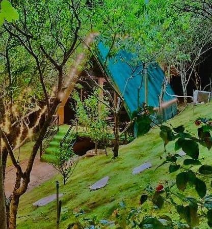 top-8-homestay-phu-tho-danh-cho-gia-dinh-10.jpg