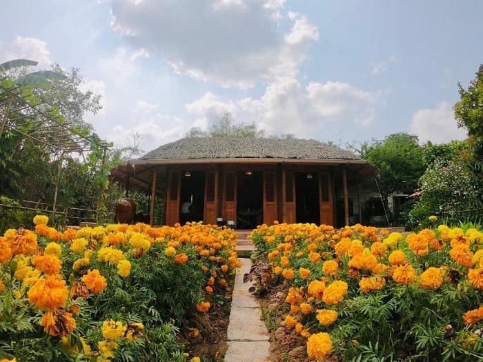 top-8-homestay-tien-giang-danh-cho-gia-dinh.jpg